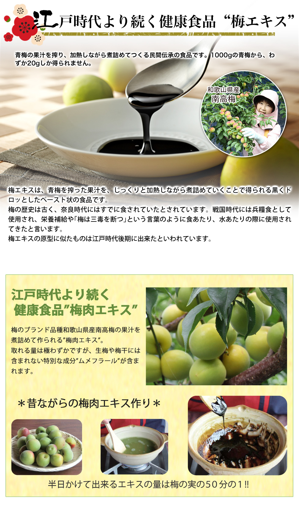 江戸時代より続く健康食品、それが梅エキス