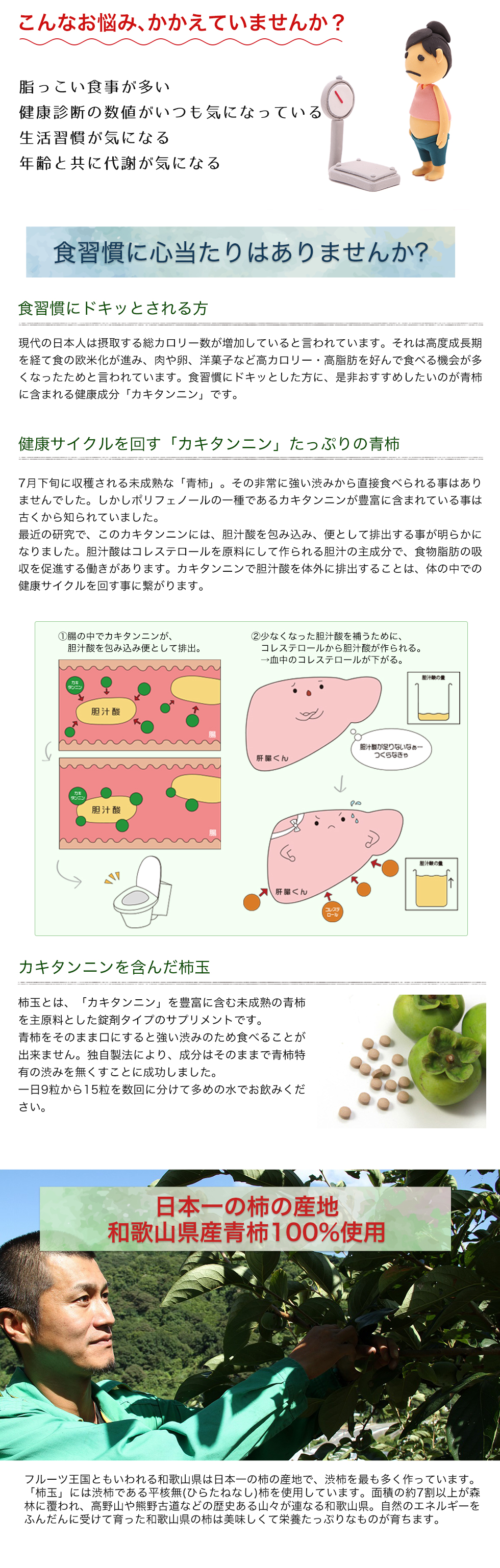 柿玉