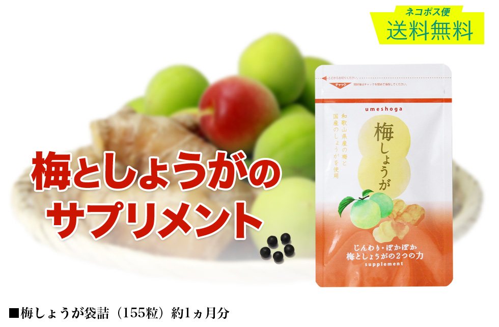 梅しょうが