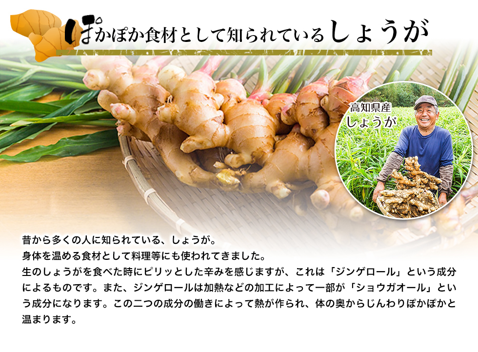 高知県産の生姜を使用