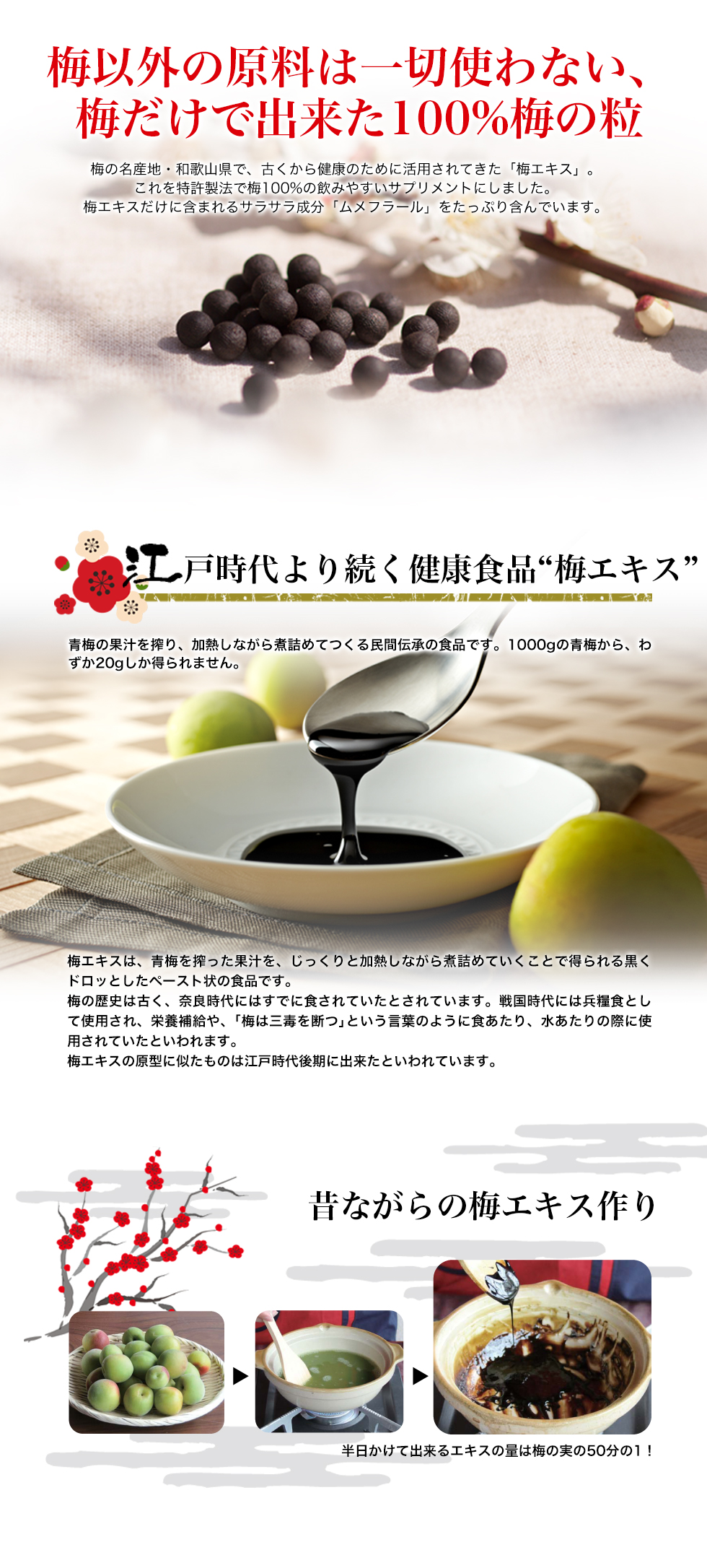 梅真珠
