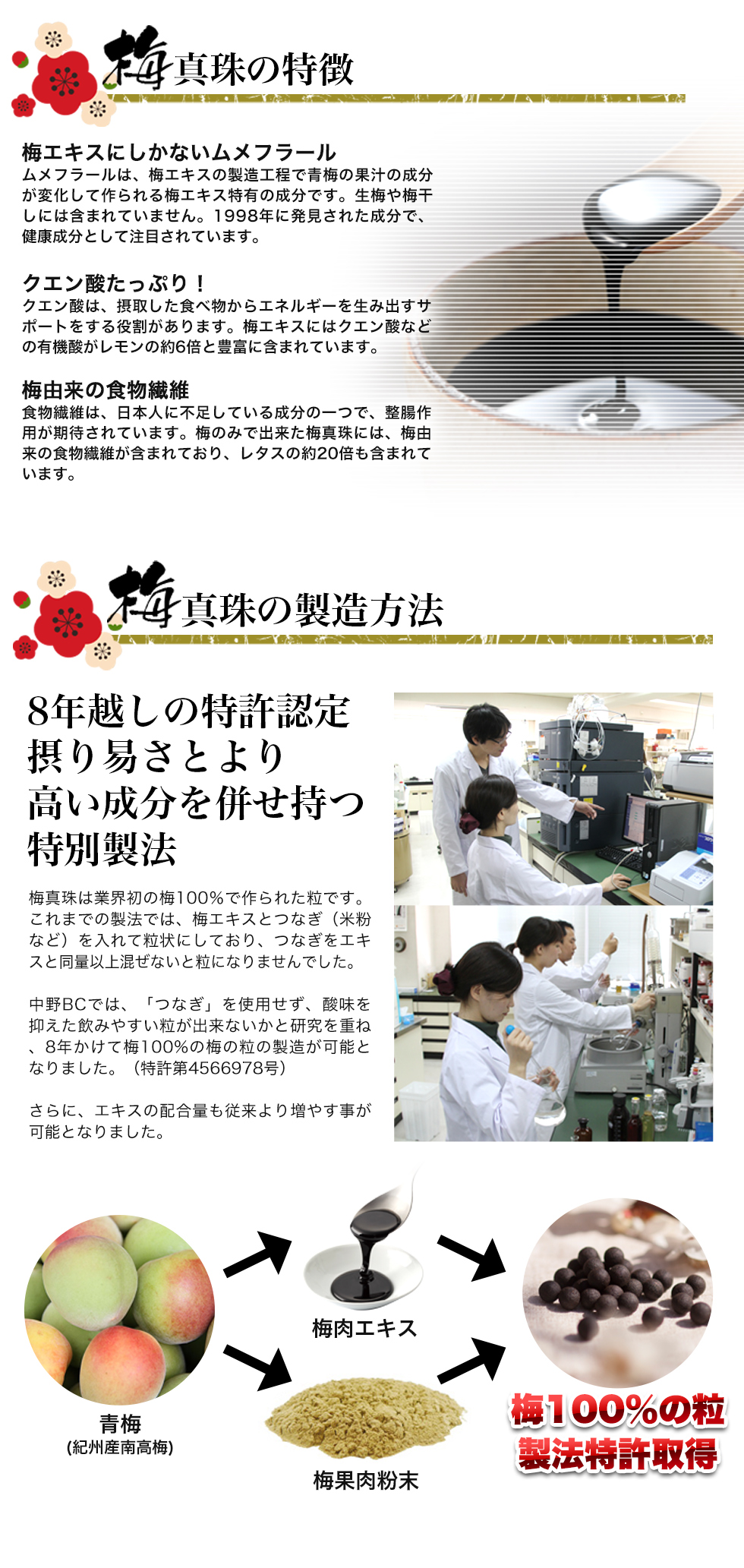 梅真珠