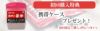 初回購入特典で携帯ケースをプレゼント